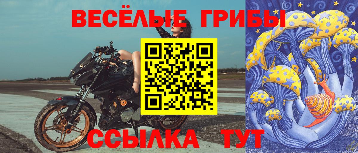 Псилоцибиновые грибы GOLDEN TEACHER Балашов